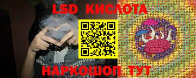стафф Дубна