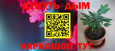 гашик Донской