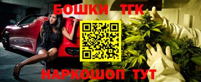стафф Дубна