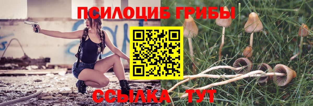 Мариинск  Галлюциногенные грибы Psilocybine cubensis  Вход с VPN 